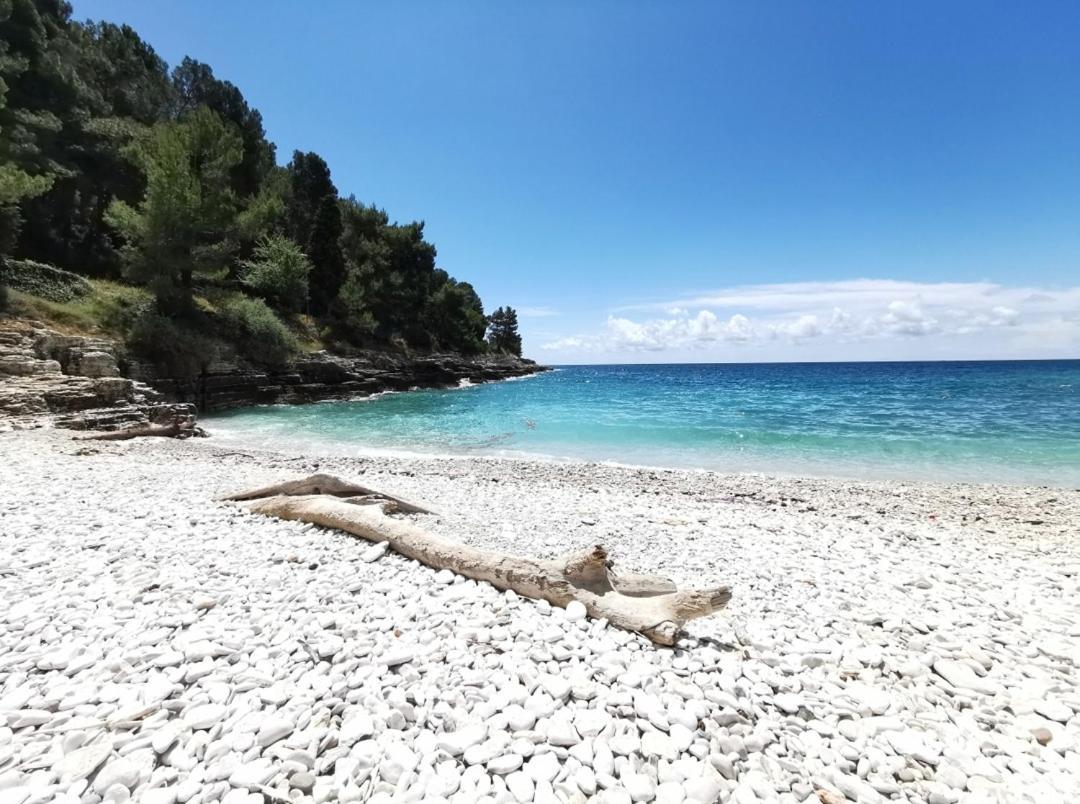 Pearl Apartment Πούλα Εξωτερικό φωτογραφία